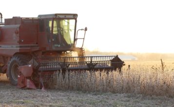 Gleaner combine to harvest hemp for sale in DE, MD, NJ, PA and VA
