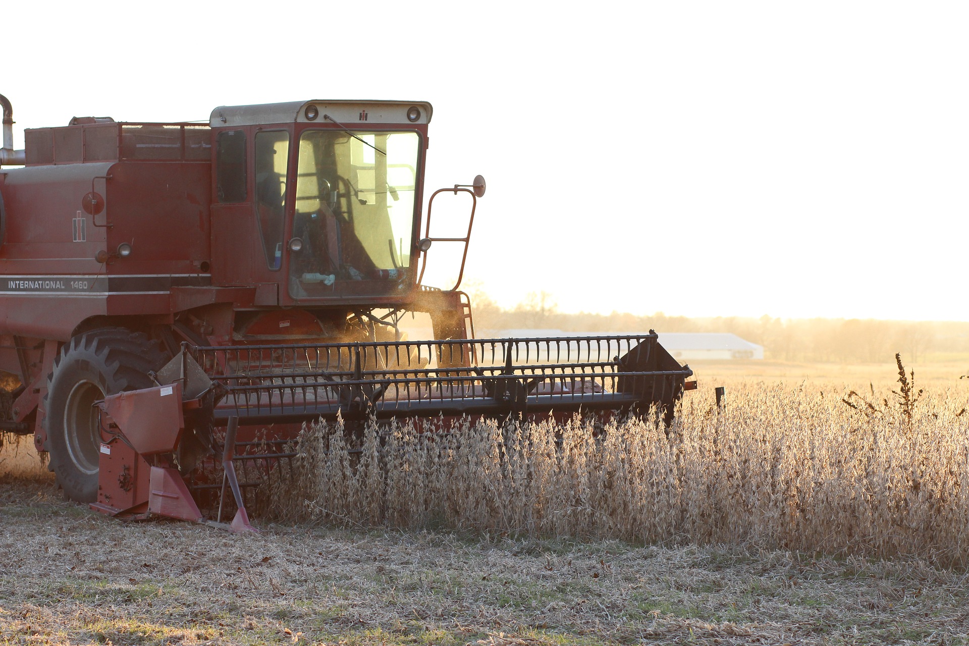 Gleaner combine to harvest hemp for sale in DE, MD, NJ, PA and VA
