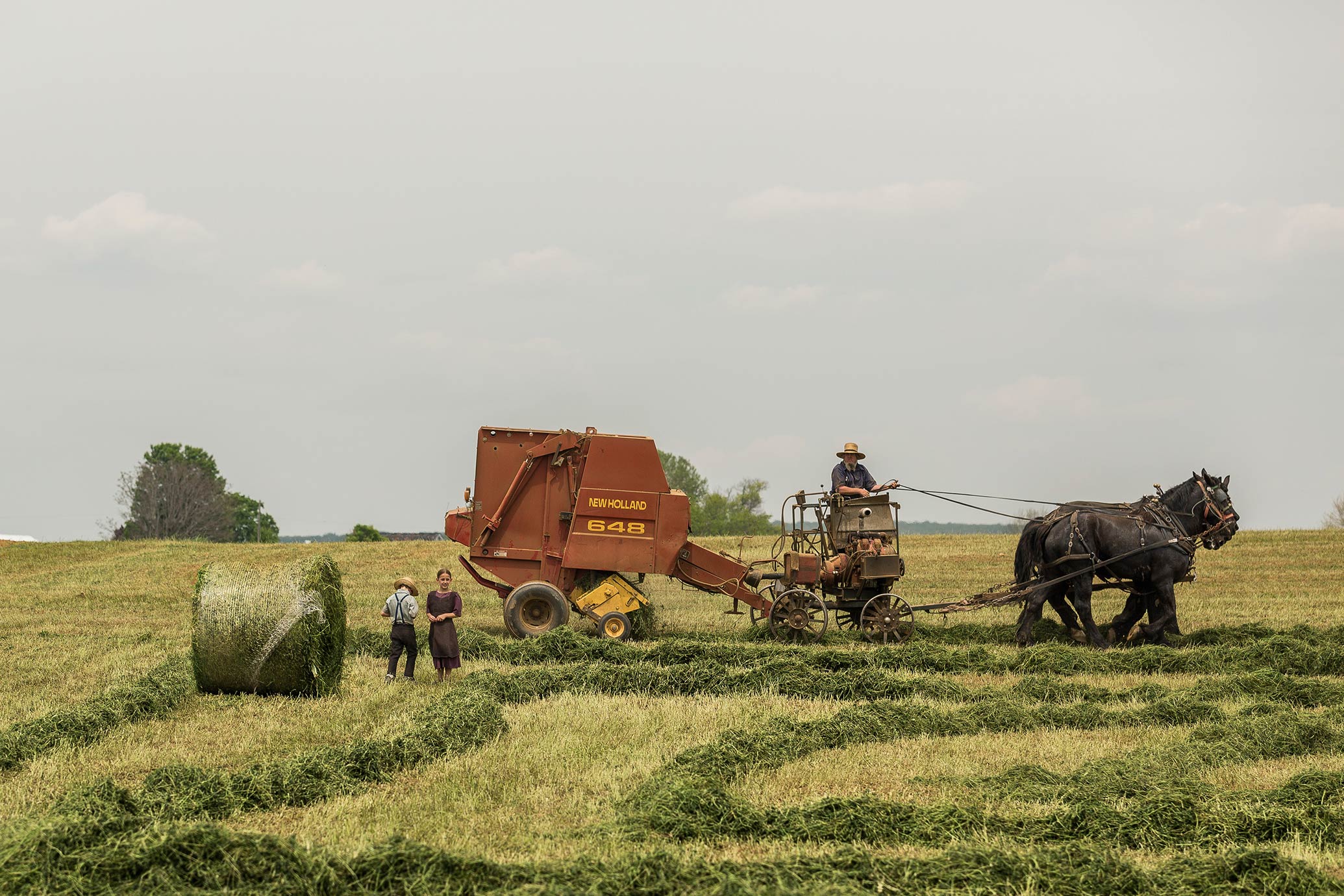 Tractor Harvest Hay on Farm